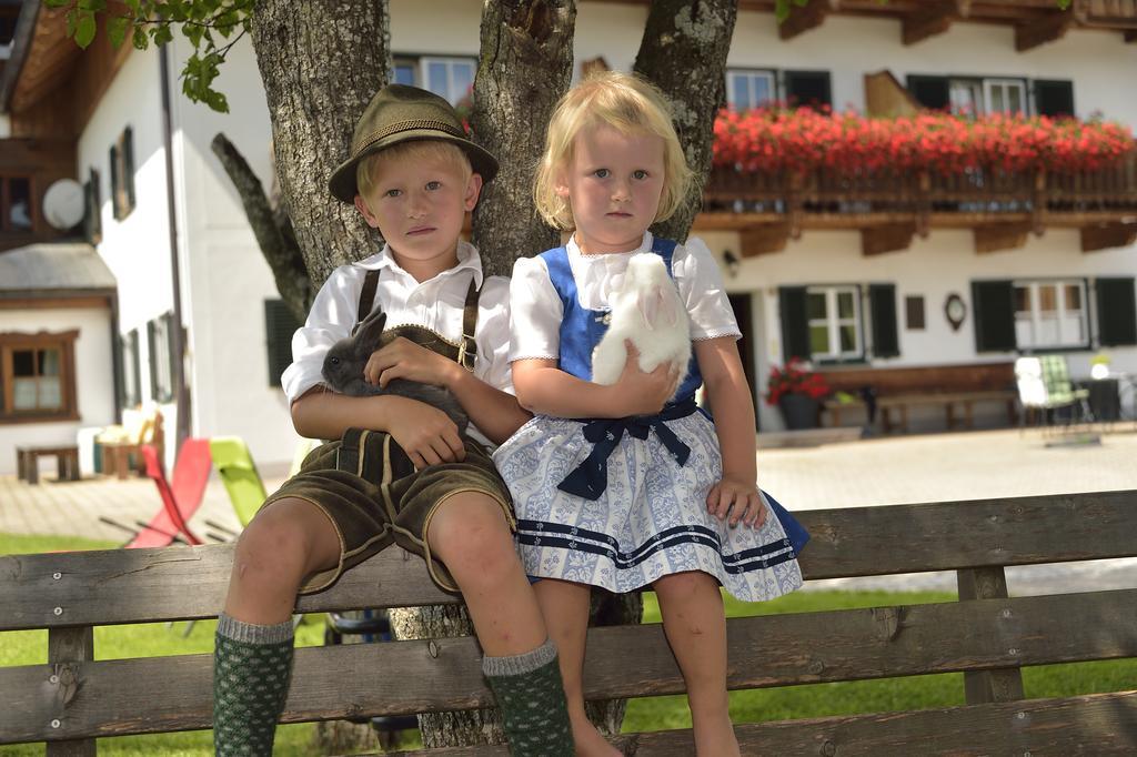 Apartament Reiter- Und Feriengut Suassbauer Saint Wolfgang Zewnętrze zdjęcie